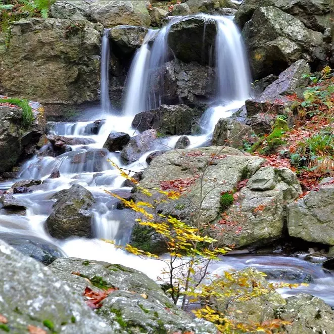 Cascade des Nutons